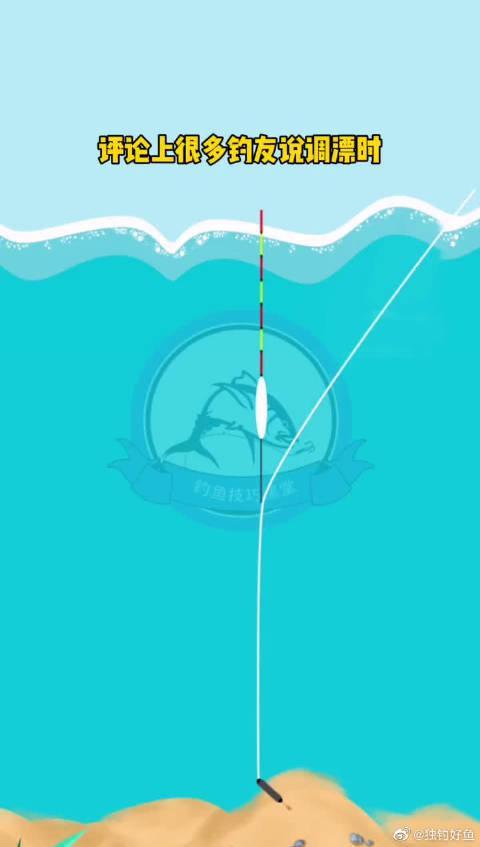 调漂视频,跟随视频轻松掌握钓鱼高招