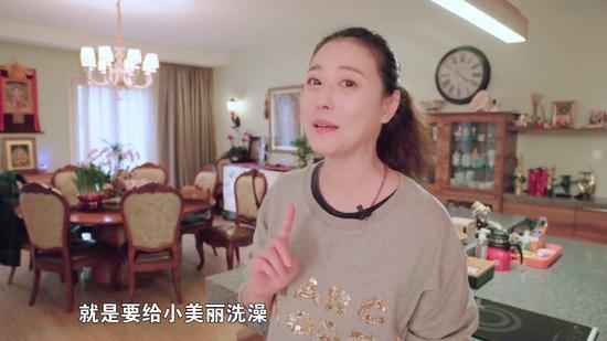 婉芳视频,探寻东方美韵，感受传统魅力