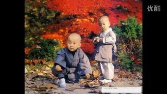 讲金刚经视频,破除烦恼，成就圆满人生