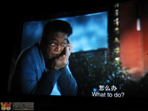 大人物视频,权力巅峰的暗流涌动