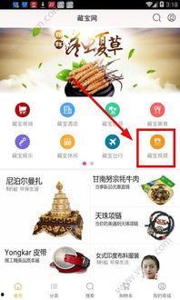 藏宝网视频,探寻神秘宝藏的奇幻之旅