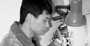 杨树明案件视频