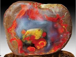 战国红视频,揭秘古代战场的烽火岁月