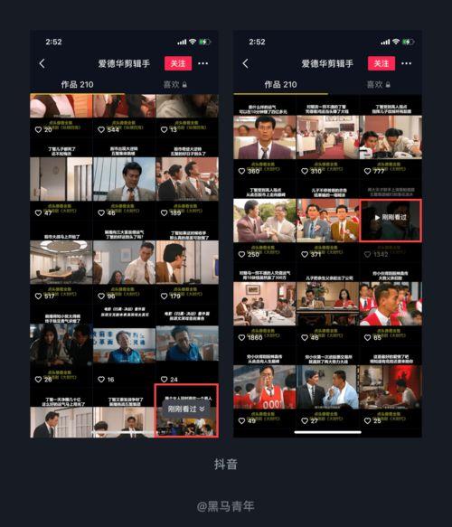 麀视频,探寻神秘生物的奇幻世界